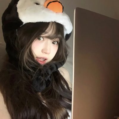 霜雪极地 封面